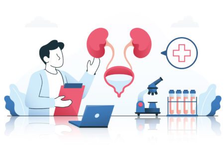 Kidney's Functioning